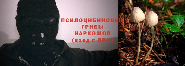 марки lsd Абаза