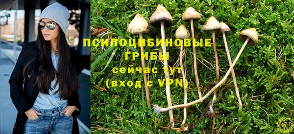 Альфа ПВП Абдулино